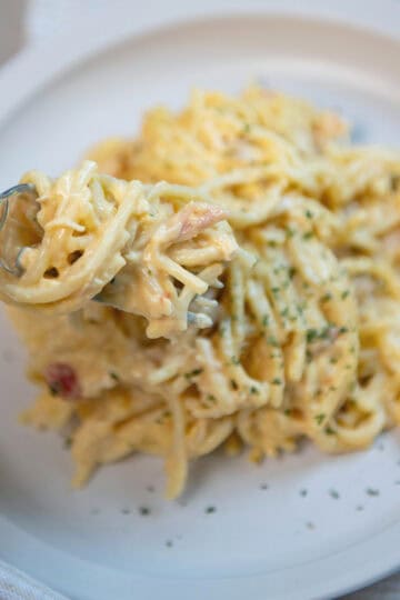 Creamy chicken spaghetti on a white plate with a bite twirled on a fork