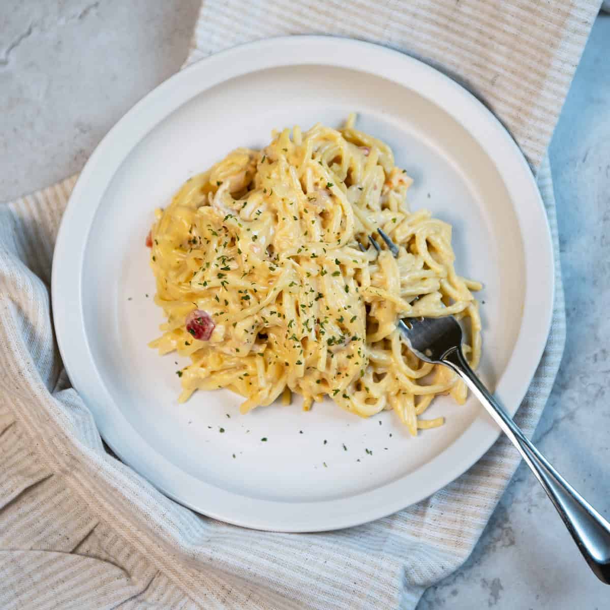 Hearty serving of chicken spaghetti on a white plate with melted cheese on top
