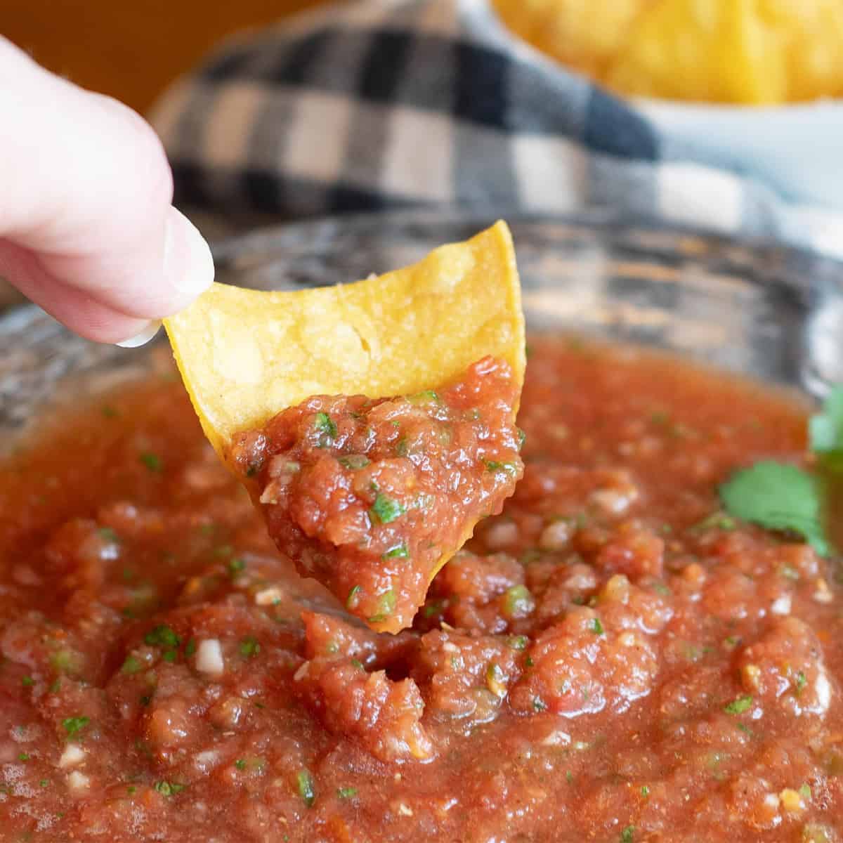 Close-up of a tortilla chip scooping fresh salsa.