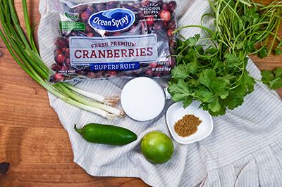 Cranberry Salsa