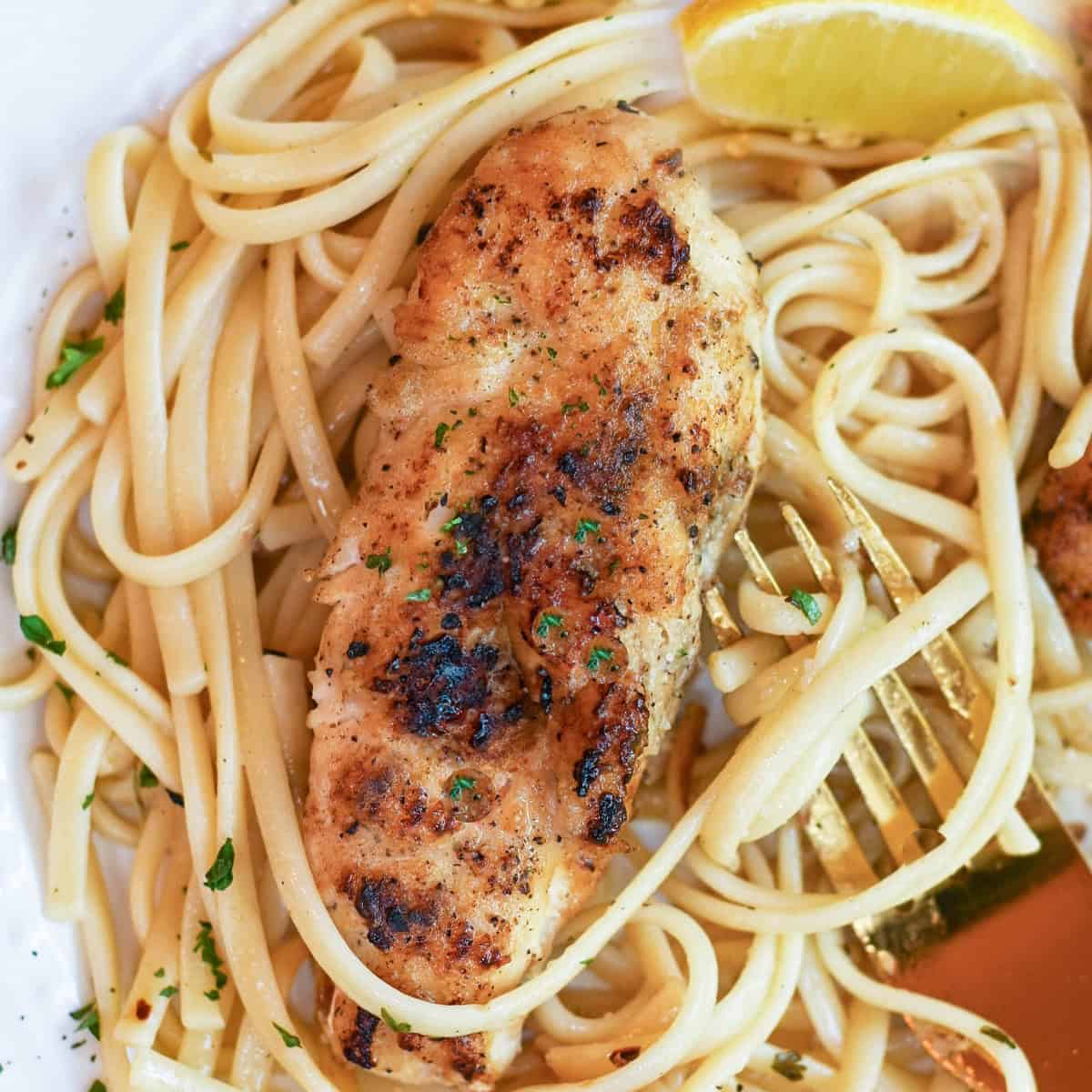 A zoomed-in view of Chicken Scampi showing tender chicken, glistening pasta, and a buttery garlic sauce.