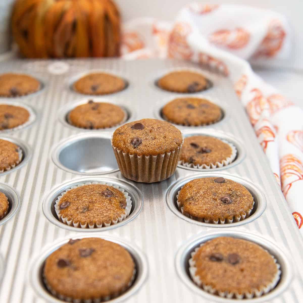 One mini pumpkin chocolate chip muffin lifted on the tin above the rest.
