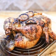 Whole roasted chicken with golden crispy skin resting in a roasting pan with herbs.
